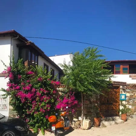 Casa de hóspedes Amazon Petite Palace