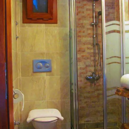 Casa de hóspedes Amazon Petite Palace