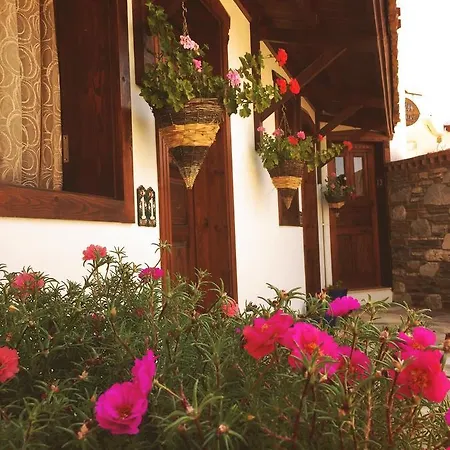 Casa de hóspedes Amazon Petite Palace