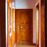 Amazon Petite Palace