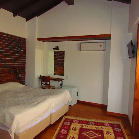 Πανσιόν Amazon Petite Palace Σελτσούκ