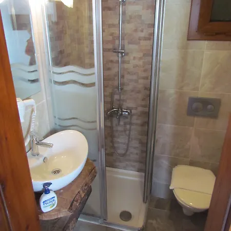 ゲストハウス アマゾン プティ パレス