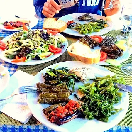 アマゾン プティ パレス