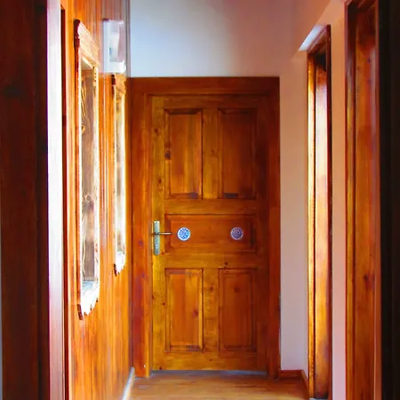 アマゾン プティ パレス