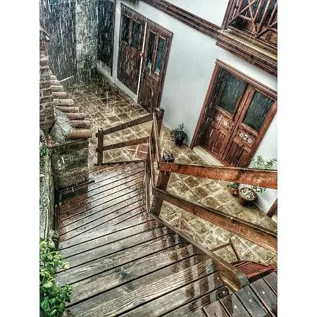 アマゾン プティ パレス 4* セルチュク