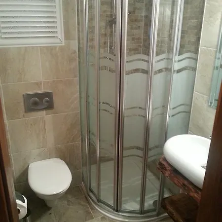 アマゾン プティ パレス