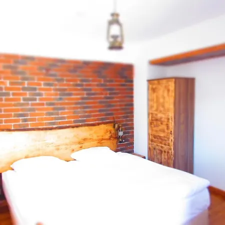 アマゾン プティ パレス