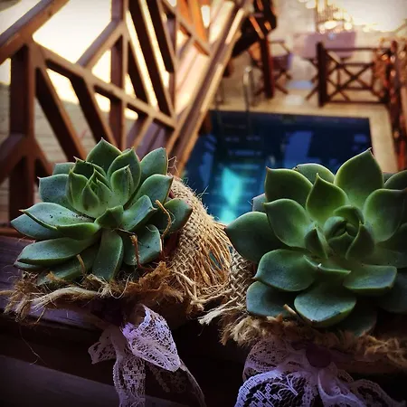 アマゾン プティ パレス 4* セルチュク