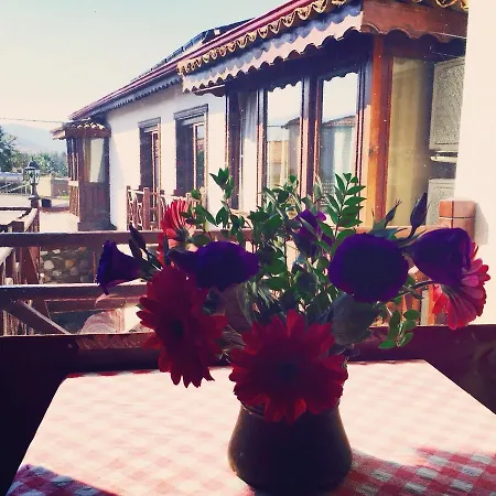 Amazon Petite Palace Selçuk