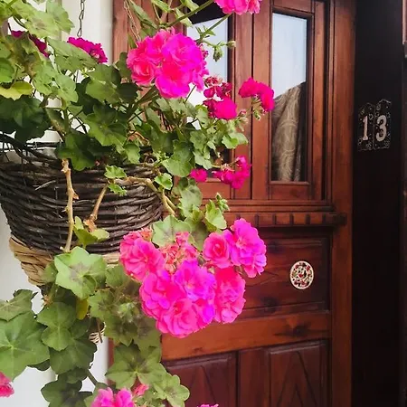 Maison d'hôtes Amazon Petite Palace Selçuk