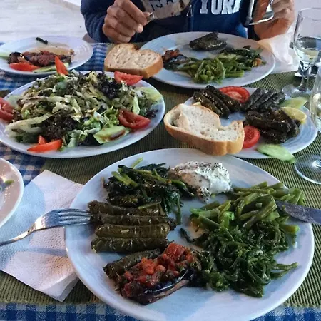 ゲストハウス アマゾン プティ パレス 4*