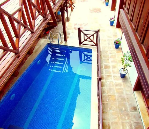 Affittacamere Amazon Petite Palace